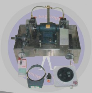 THIN SECTION